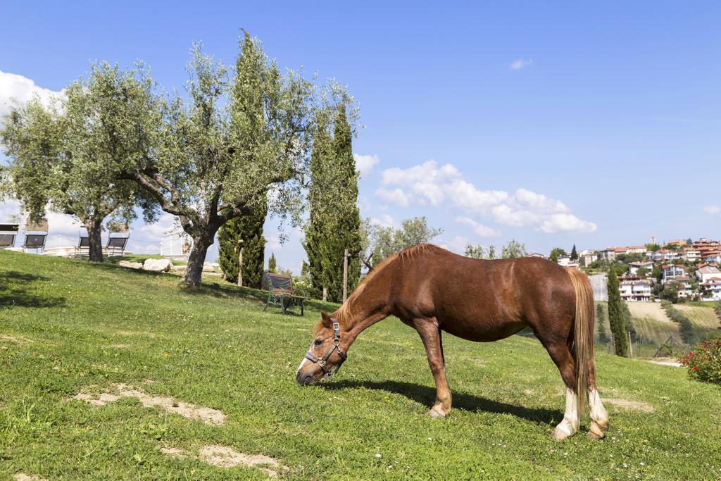 Agriturismo Le Bosche San Marino Exterior foto